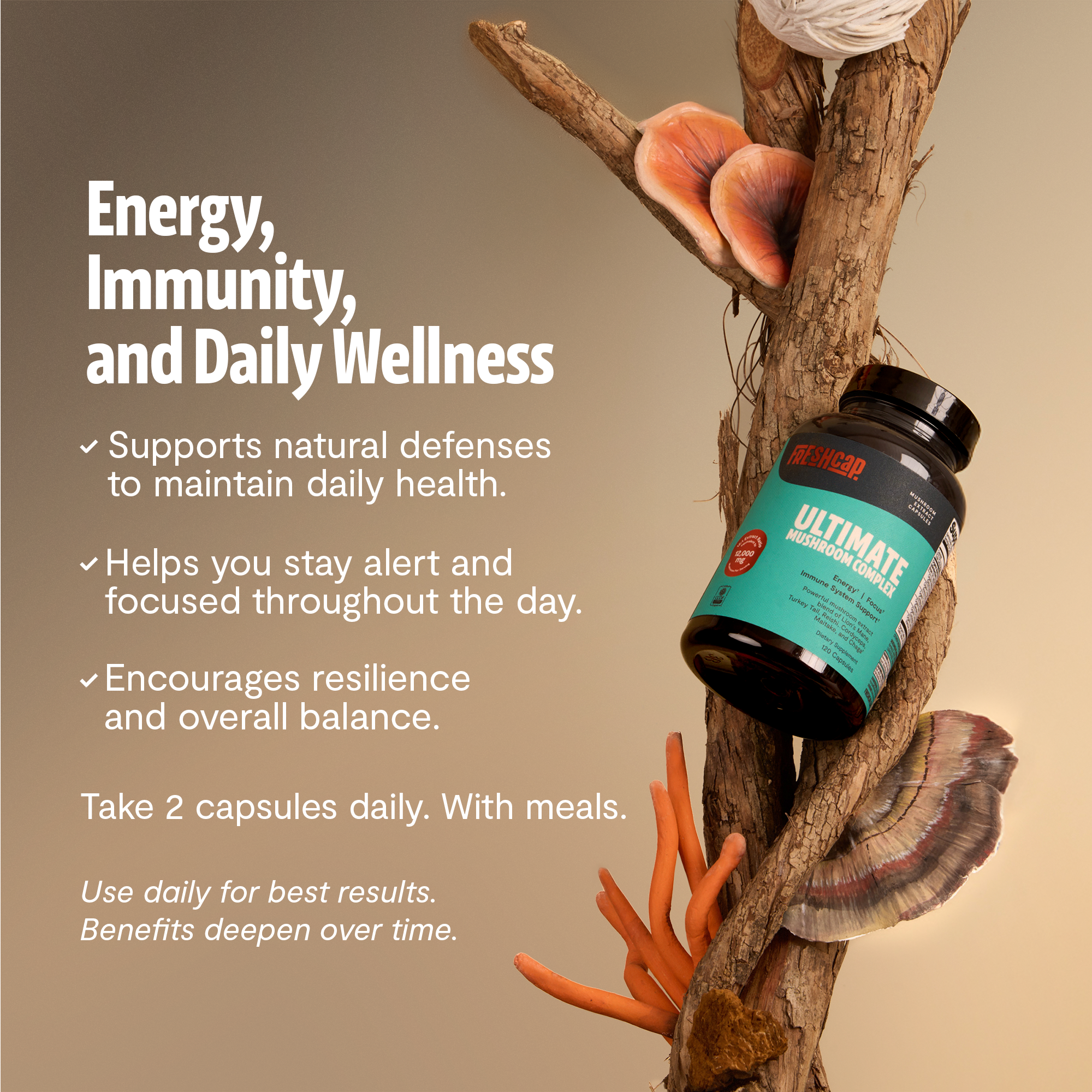 Organic Mushroom Complex Supplement Capsules