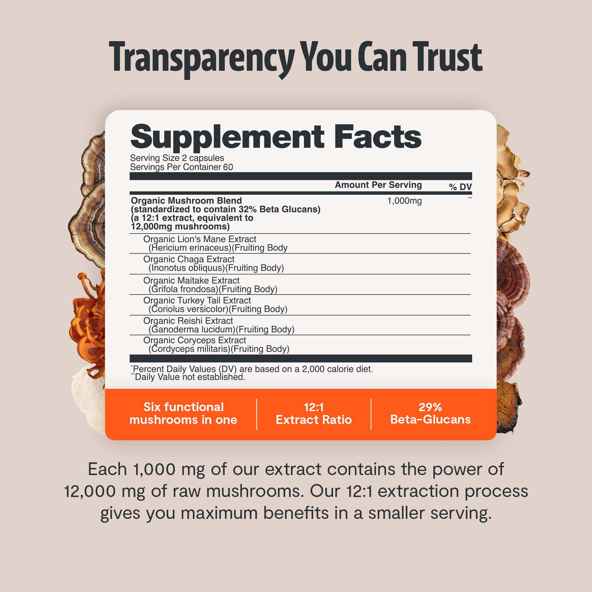 Organic Mushroom Complex Supplement Capsules